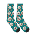 Mushroom Dog Face Socks in Teal with a personalized dog photo