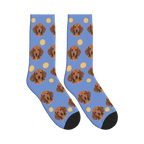 Orange Slice Dog Face Socks in Cornflower Blue with a personalized dog photo