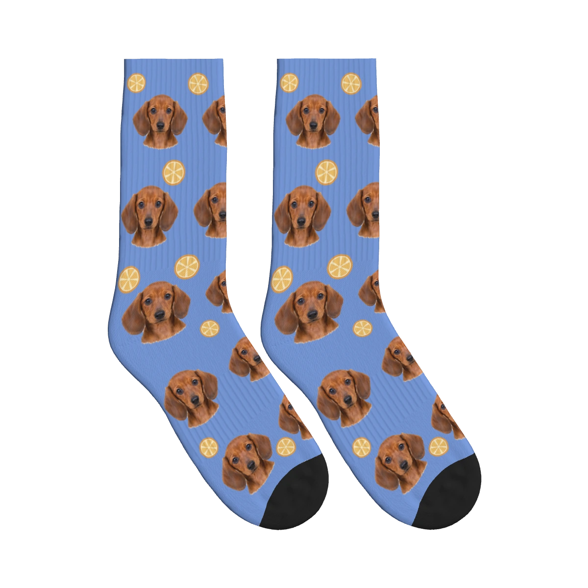 Orange Slice Dog Face Socks in Cornflower Blue with a personalized dog photo