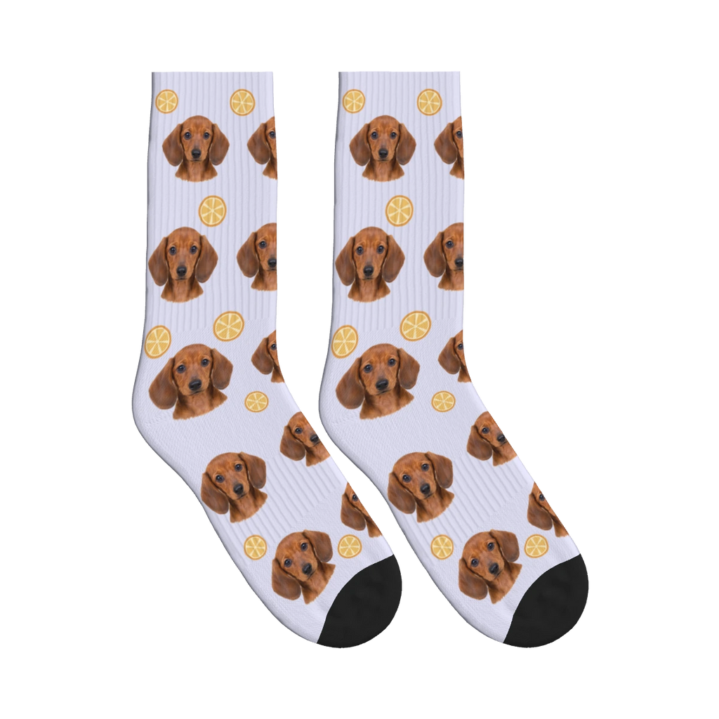 Orange Slice Dog Face Socks in Lavender with a personalized dog photo