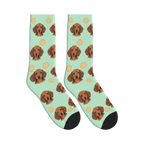 Orange Slice Dog Face Socks in Mint Green with a personalized dog photo