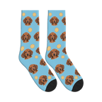 Orange Slice Dog Face Socks in Sky Blue with a personalized dog photo