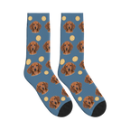 Orange Slice Dog Face Socks in Steel Blue with a personalized dog photo