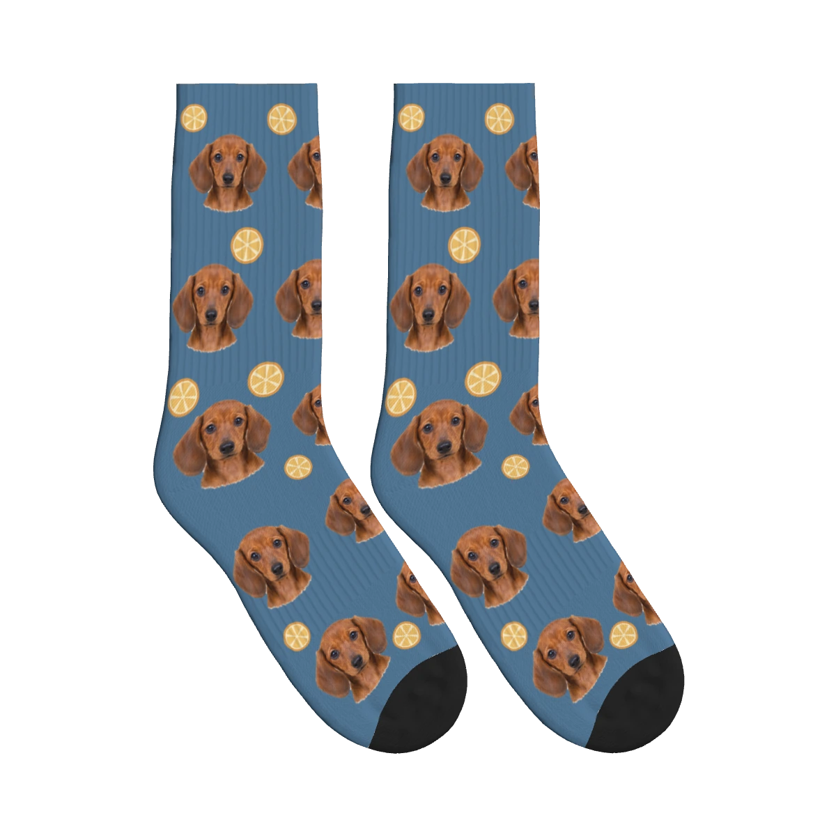 Orange Slice Dog Face Socks in Steel Blue with a personalized dog photo