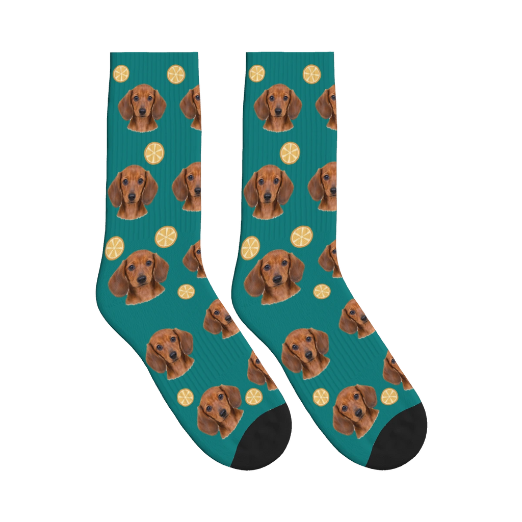 Orange Slice Dog Face Socks in Teal with a personalized dog photo