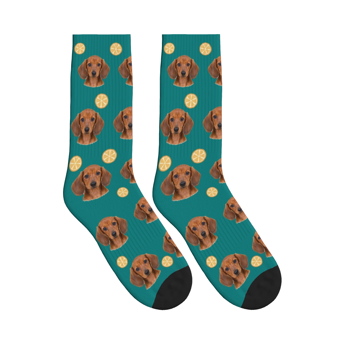 Orange Slice Dog Face Socks in Teal with a personalized dog photo