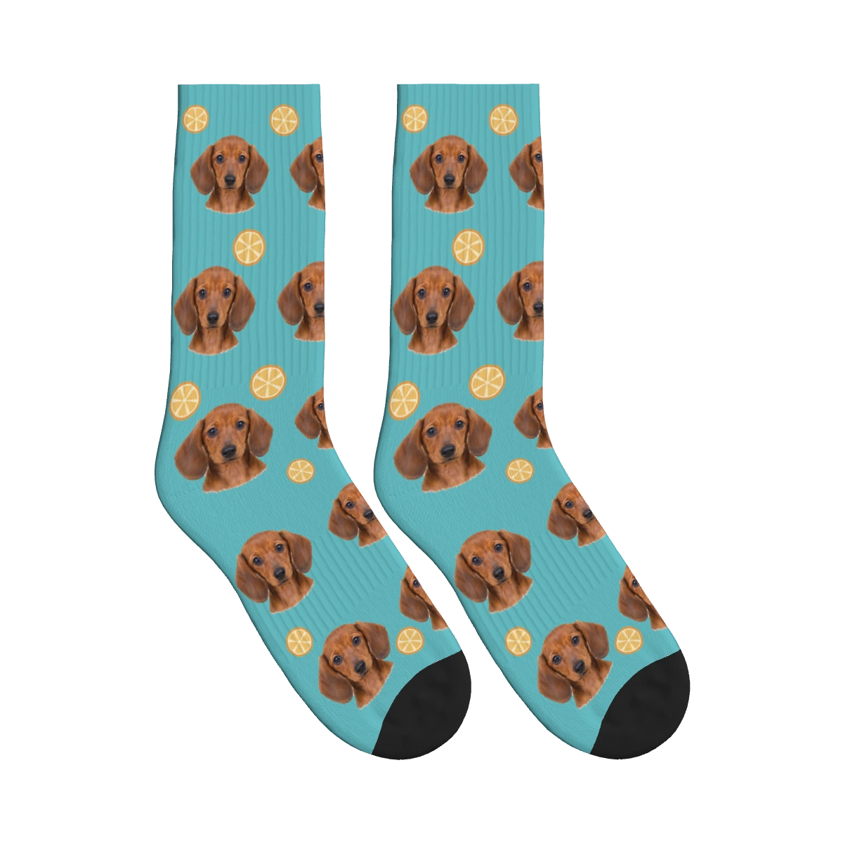 Orange Slice Dog Face Socks in Turquoise with a personalized dog photo