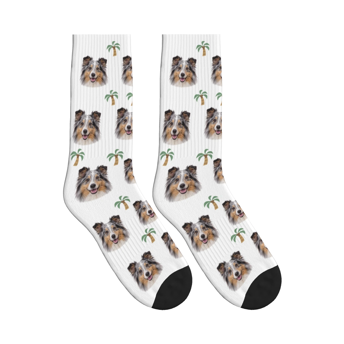 Palm Tree Dog Face Socks in White with a personalized dog photo
