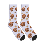 Treat Time Dog Face Socks in Lavender with a personalized dog photo