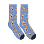 Pizza Dog Face Socks in Cornflower Blue with a personalized dog photo