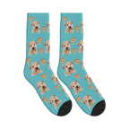 Pizza Dog Face Socks in Turquoise with a personalized dog photo