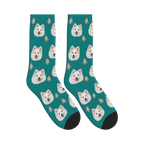 Rocket Dog Face Socks in Teal with a personalized dog photo