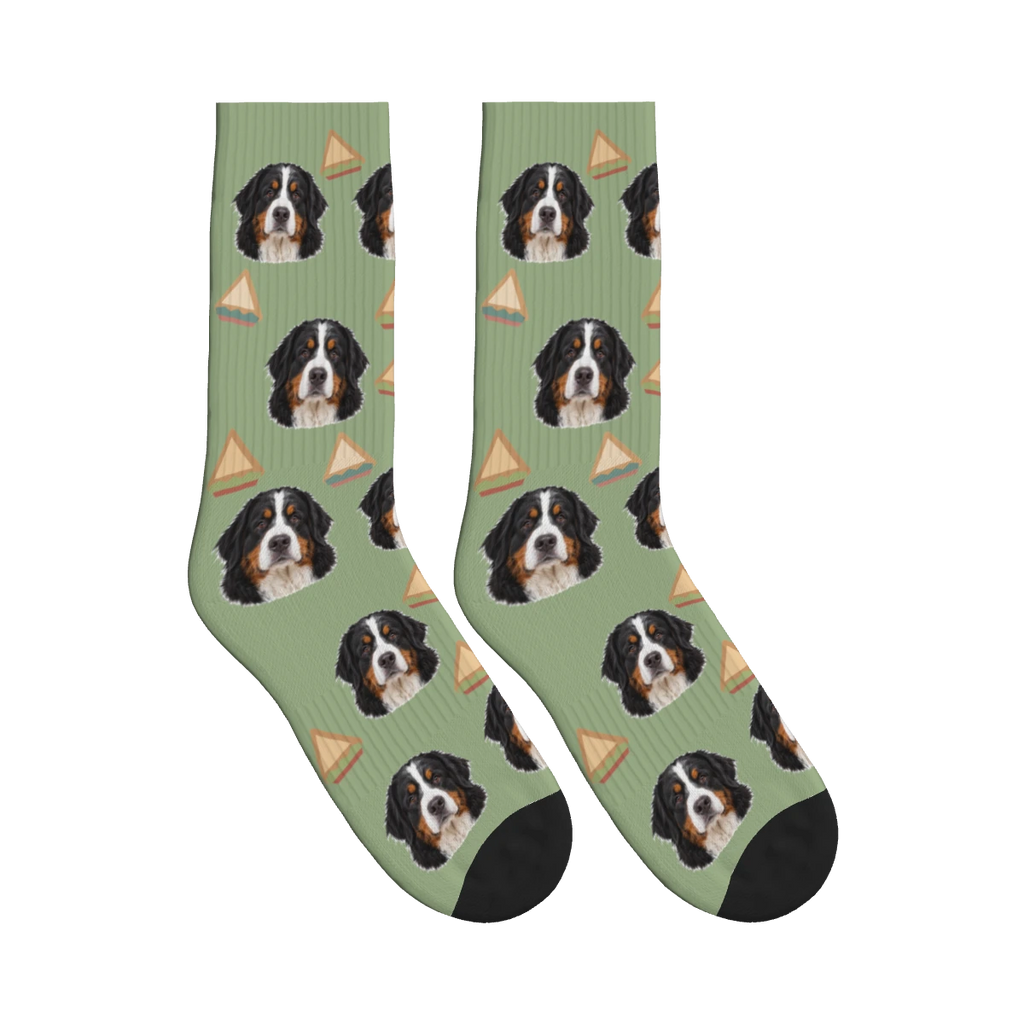 Sandwich Dog Face Socks in Sage Green with a personalized dog photo