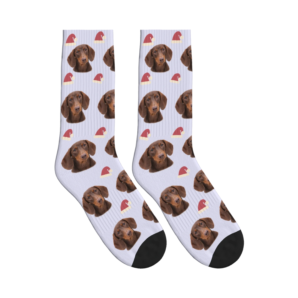Santa Hat Dog Face Socks in Lavender with a personalized dog photo