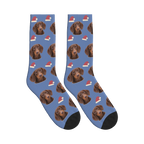 Santa Hat Dog Face Socks in Slate Blue with a personalized dog photo