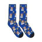 Sunflower Dog Face Socks in Cobalt Blue with a personalized dog photo