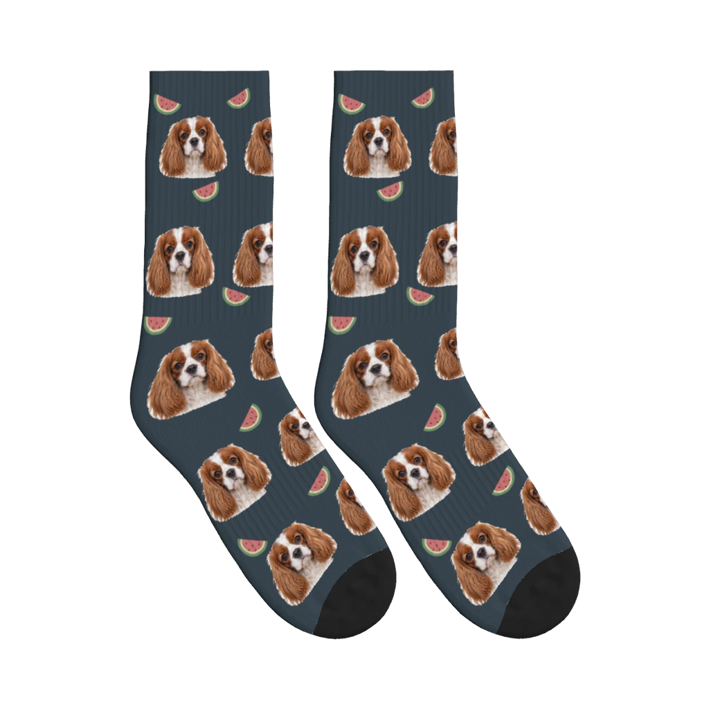 Watermelon Dog Face Socks in Charcoal Gray with a personalized dog photo