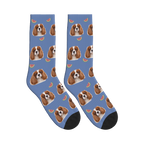 Watermelon Dog Face Socks in Slate Blue with a personalized dog photo