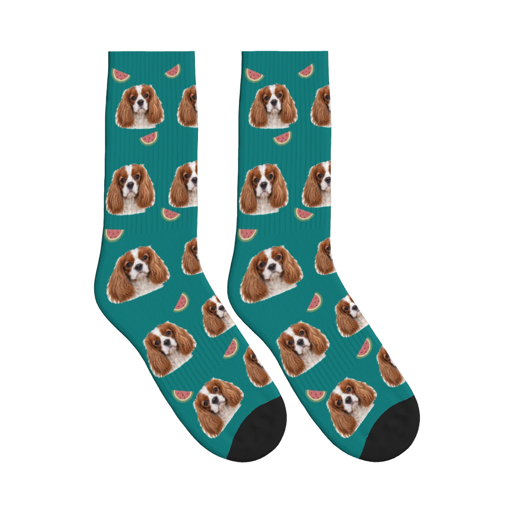 Watermelon Dog Face Socks in Teal with a personalized dog photo