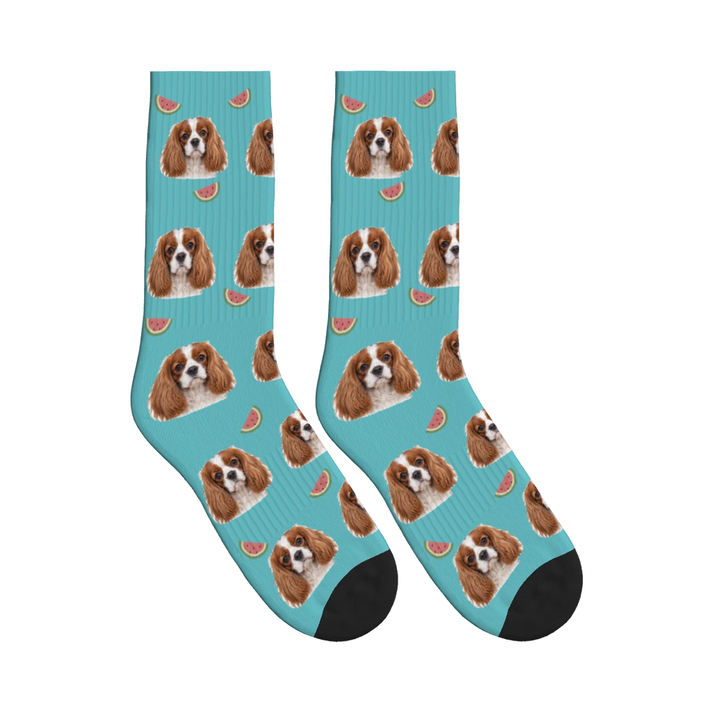 Watermelon Dog Face Socks in Turquoise with a personalized dog photo