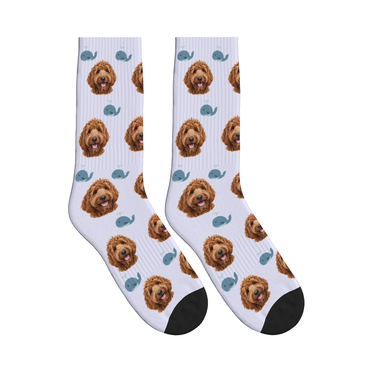 Little Whale Dog Face Socks in Lavender with a personalized dog photo