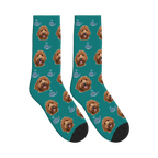 Little Whale Dog Face Socks in Teal with a personalized dog photo