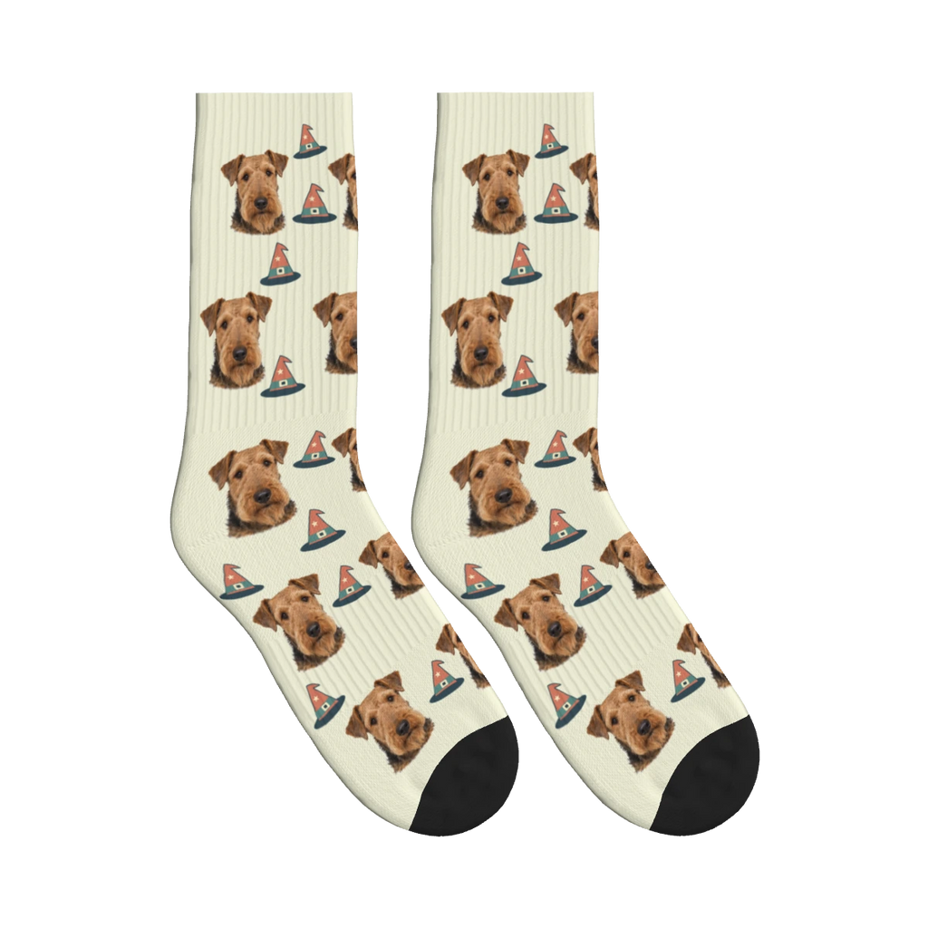 Witch Hat Dog Face Socks in Beige with a personalized dog photo