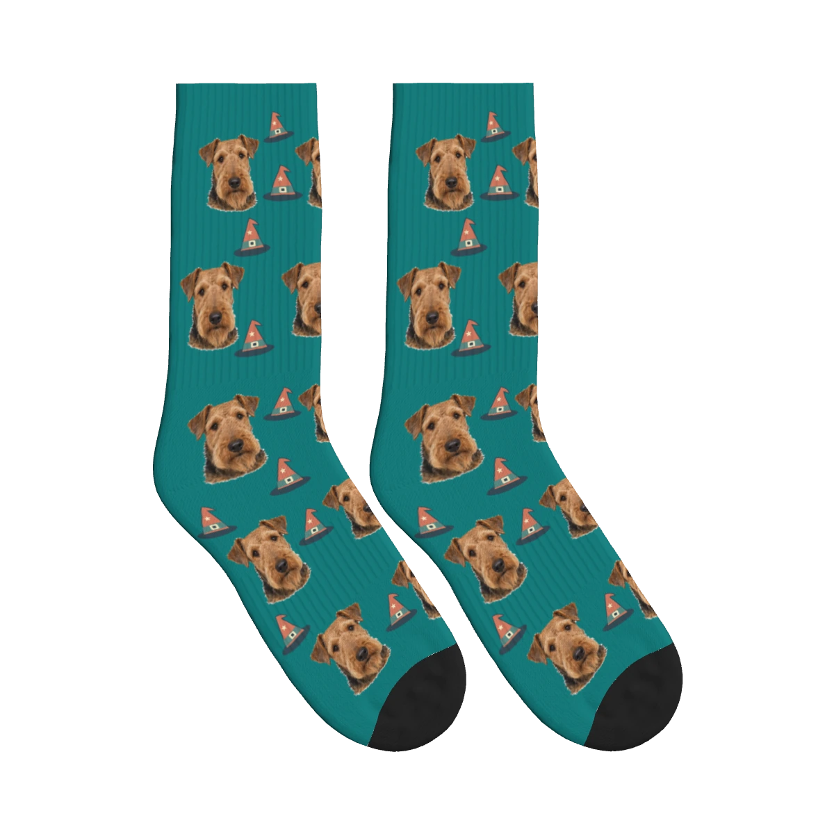 Witch Hat Dog Face Socks in Teal with a personalized dog photo